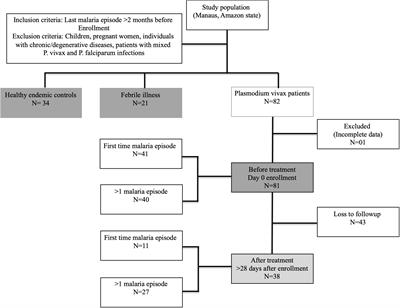 A First Plasmodium vivax Natural Infection Induces Increased Activity of the Interferon Gamma-Driven Tryptophan Catabolism Pathway